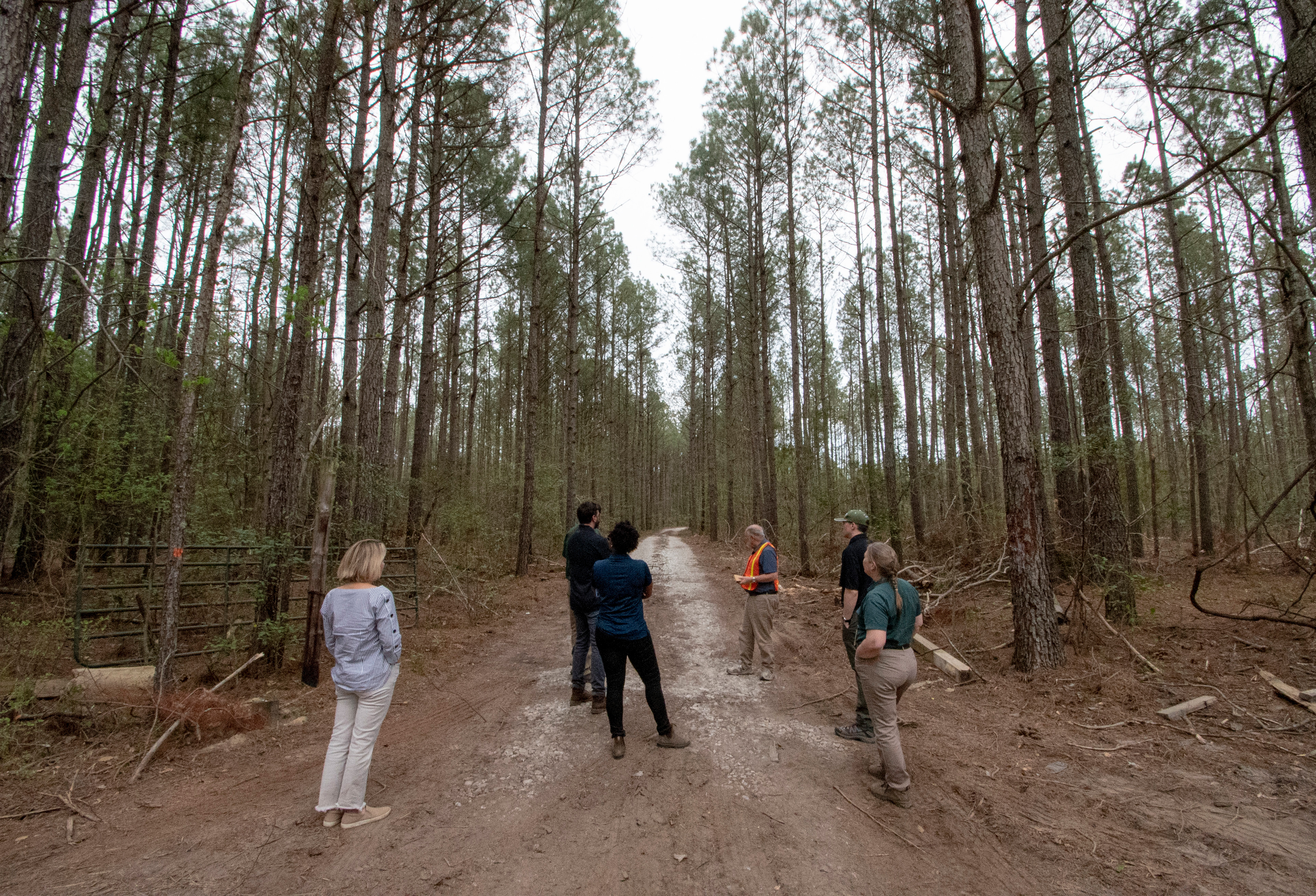 Forest Product Tour